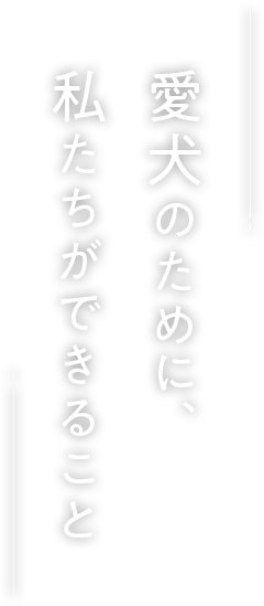 愛犬のために、私たちができること